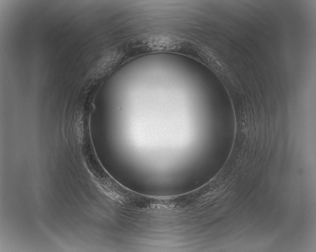 X0000056020690200508191328