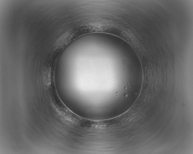 X0000056020694200508191328