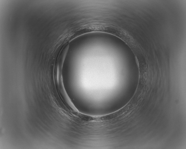 X0000056020696200508191328