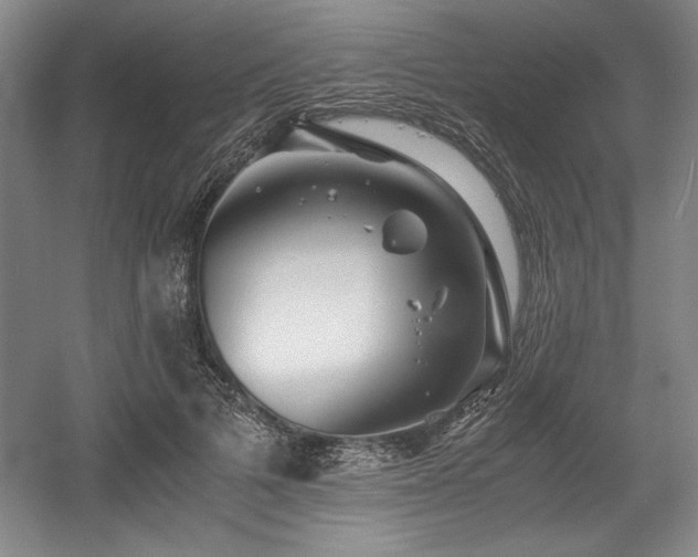 X0000056020697200508191328