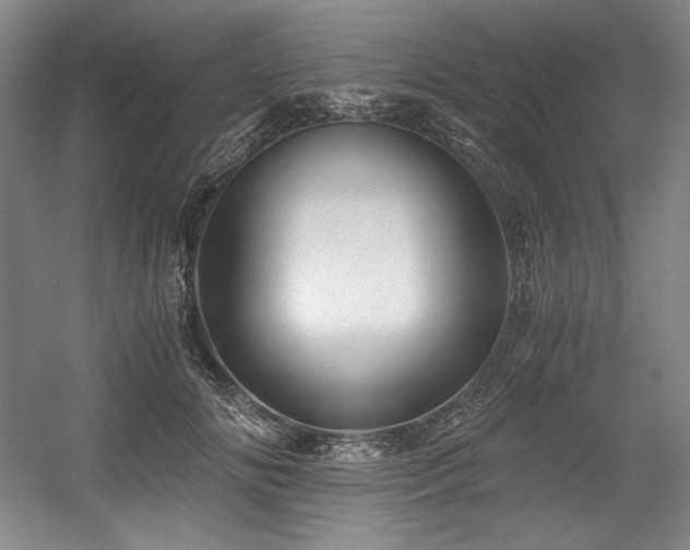 X0000056020702200508191328