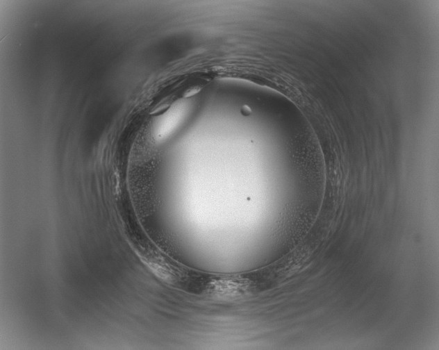 X0000056020703200508191328