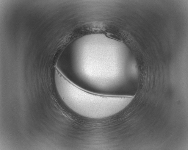 X0000056020704200508191328