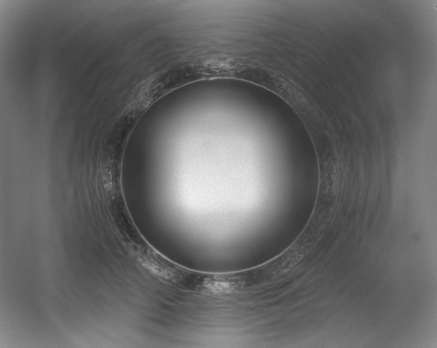 X0000056020706200508191328
