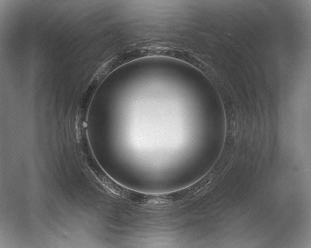 X0000056020708200508191328