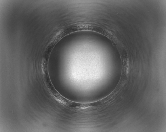 X0000056020712200508191328