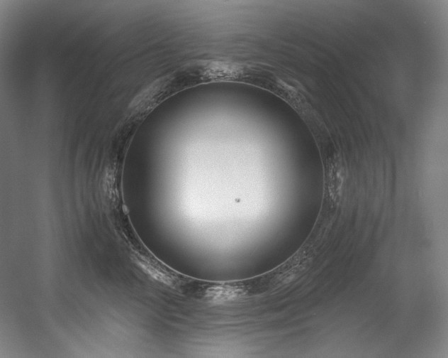 X0000056020714200508191327