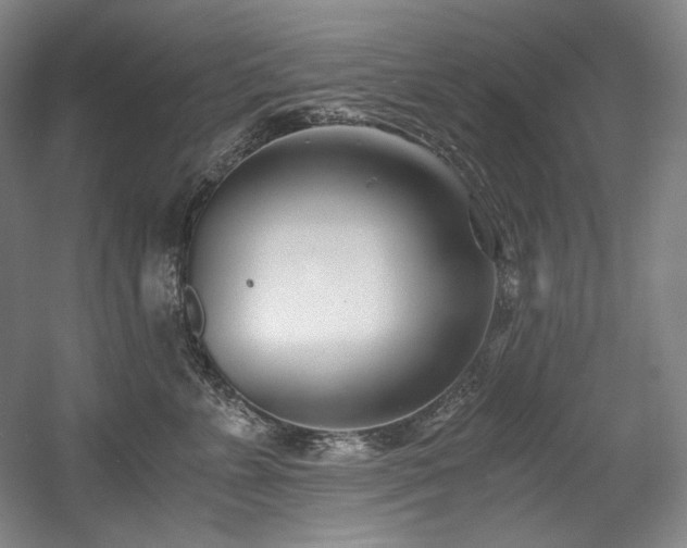 X0000056020715200508191327