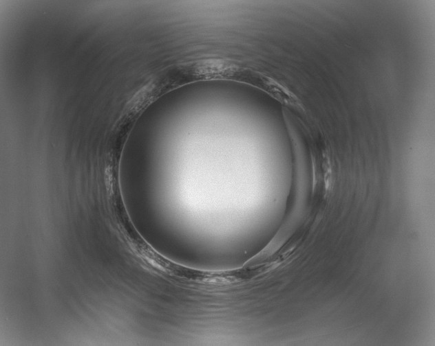 X0000056020716200508191327
