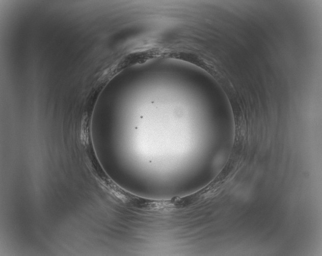 X0000056020719200508191327