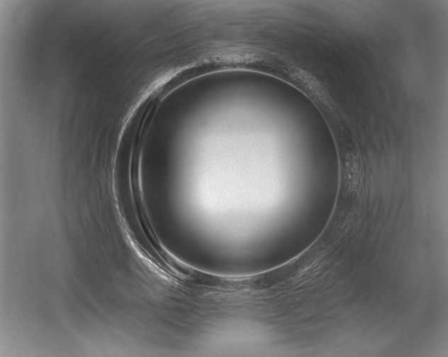 X0000056020726200508191327
