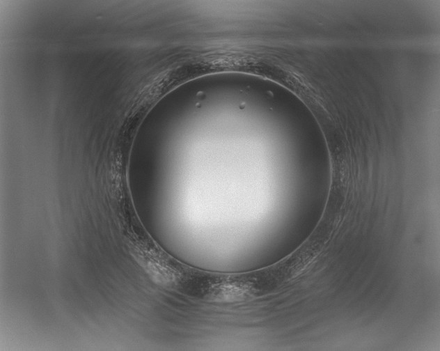 X0000056020737200508191327