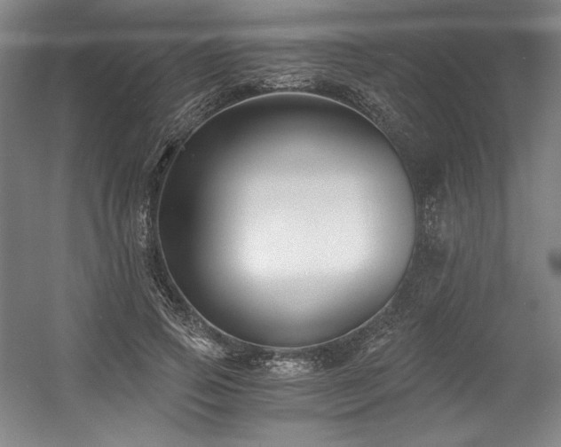 X0000056020741200508191327
