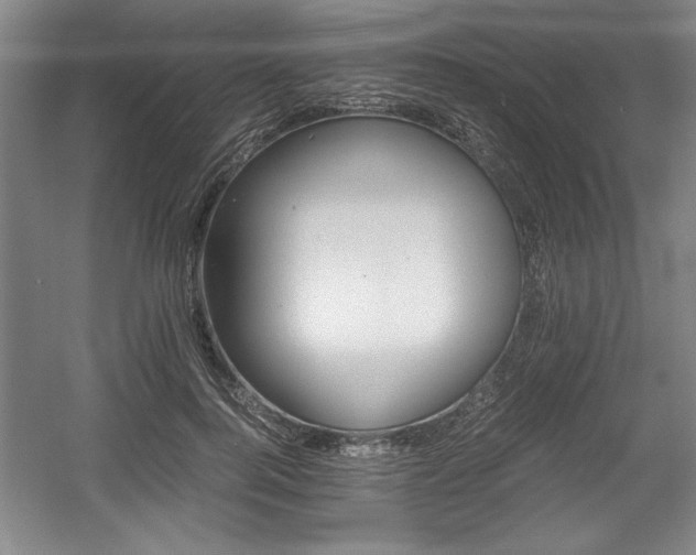 X0000056020744200508191327