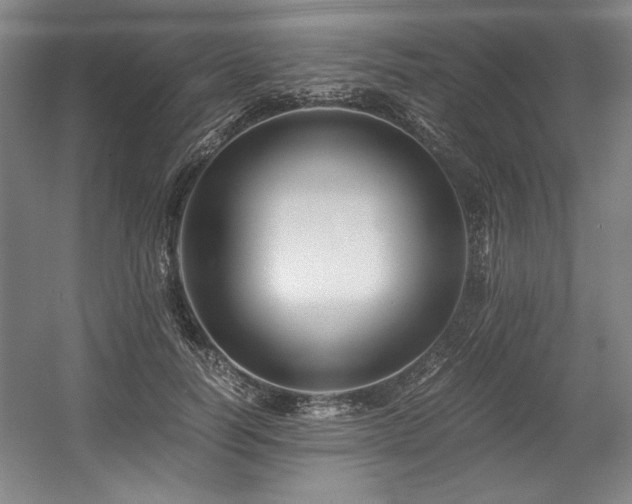 X0000056020746200508191327