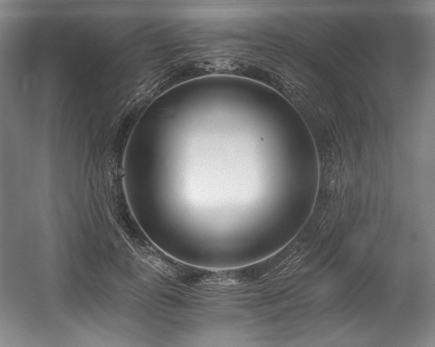 X0000056020747200508191327