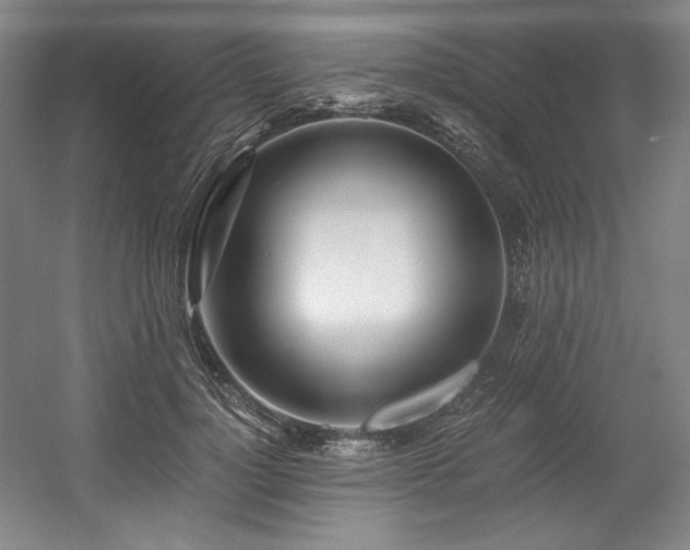 X0000056020748200508191327