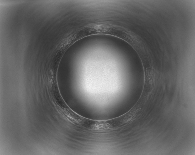 X0000056020752200508191327