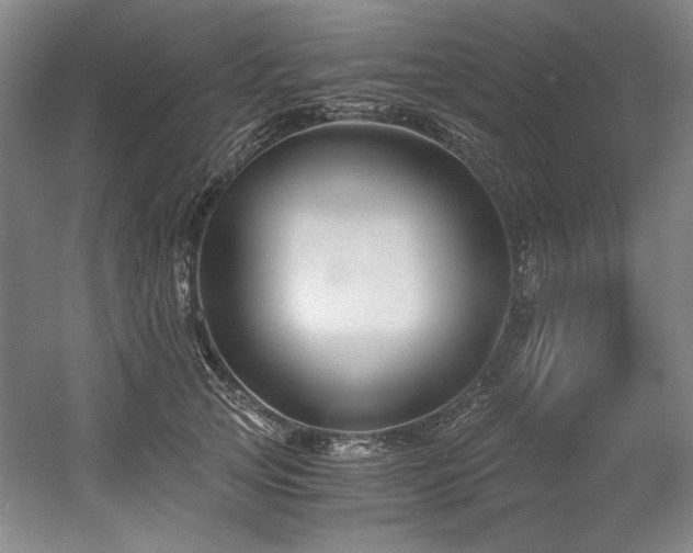 X0000056020753200508191327