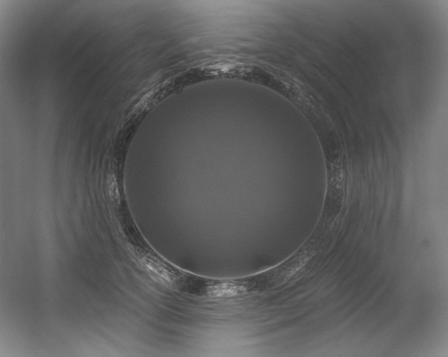X0000056020754200508191327