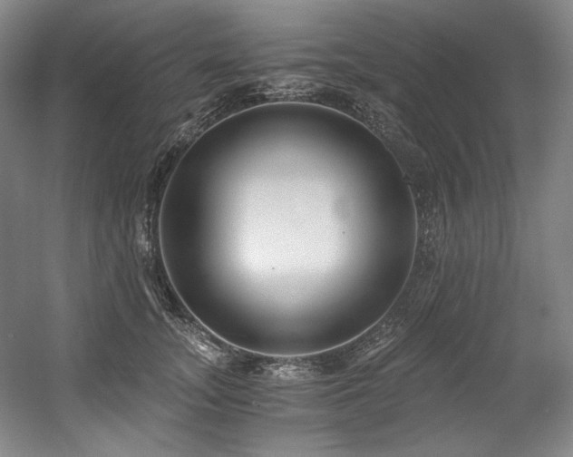 X0000056020755200508191327