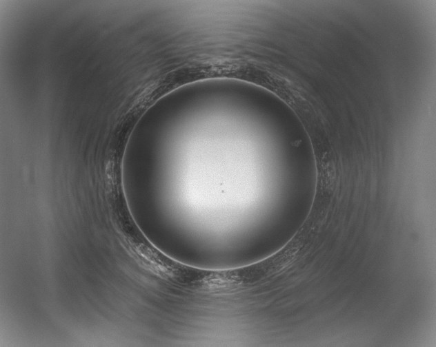 X0000056020756200508191327