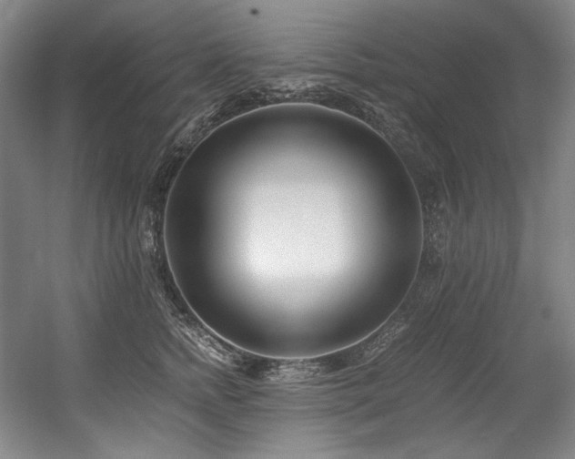 X0000056020758200508191327