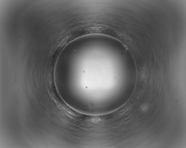 X0000056020759200508191327