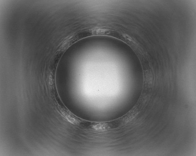X0000056020761200508191327