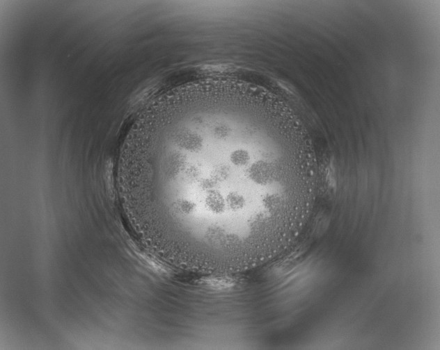 X0000056020765200508191327