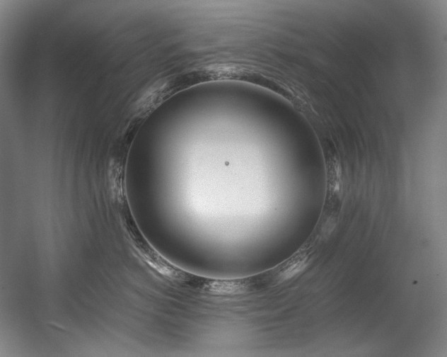 X0000056020766200508191327
