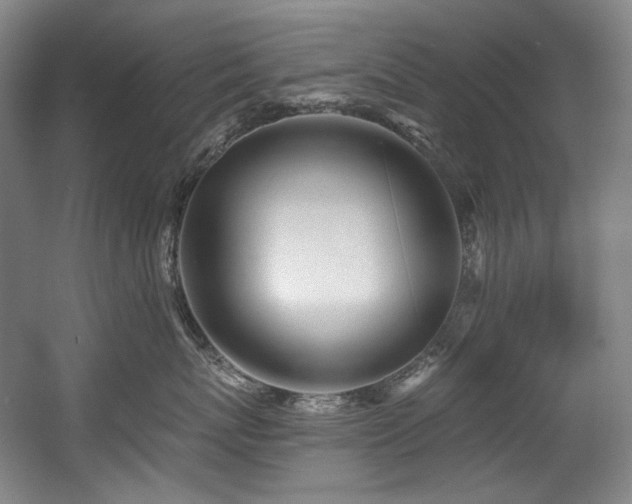 X0000056020767200508191327