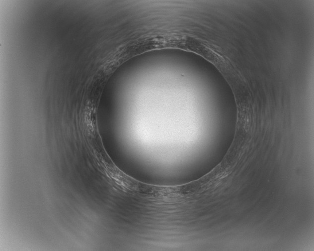 X0000056020770200508191327