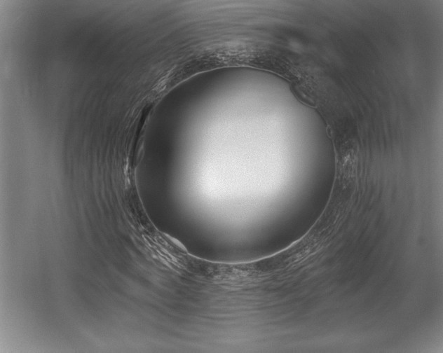X0000056020772200508191326