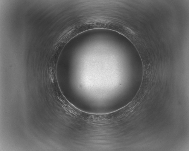 X0000056020774200508191326