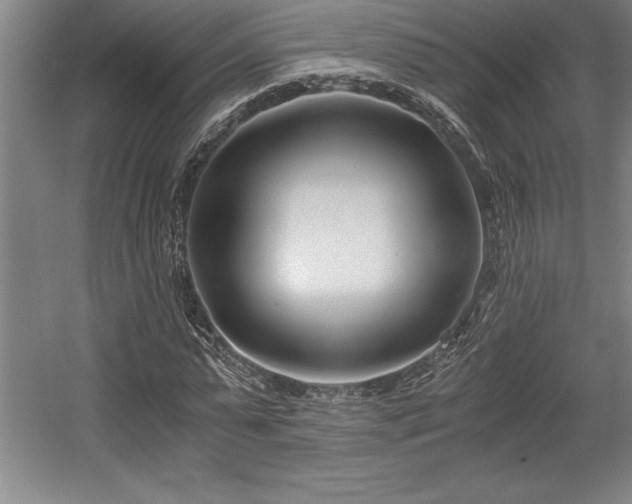 X0000056020775200508191326