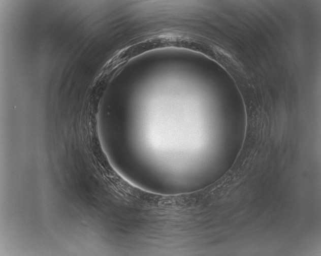 X0000056020776200508191326