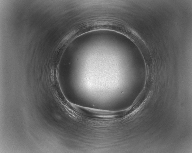 X0000056020777200508191326