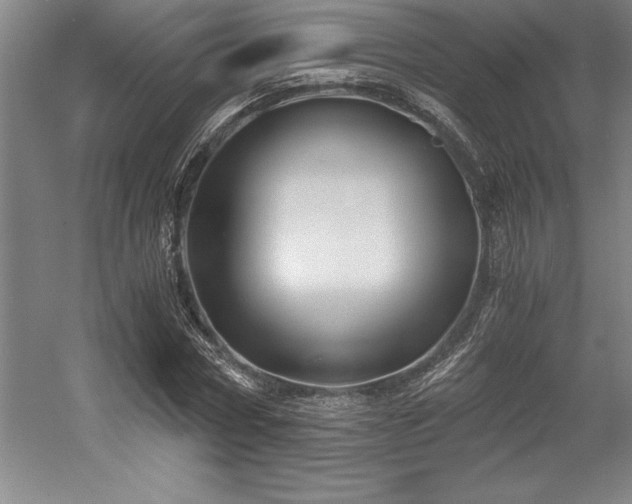 X0000056020778200508191326