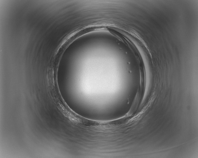X0000056020781200508191326