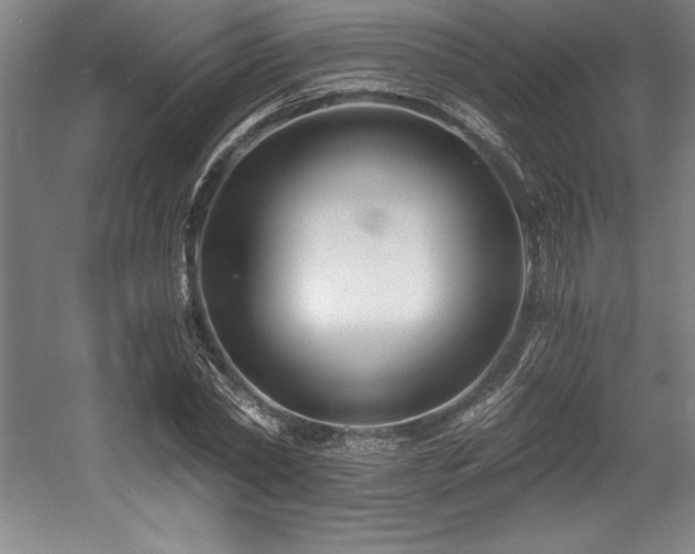 X0000056020782200508191326
