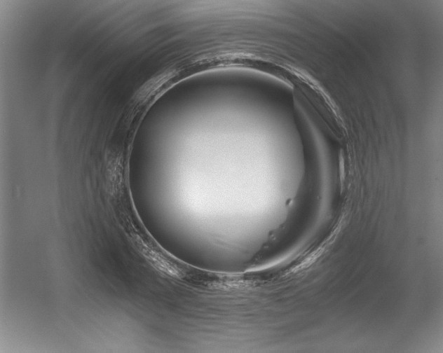 X0000056020785200508191326