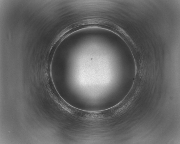 X0000056020786200508191326
