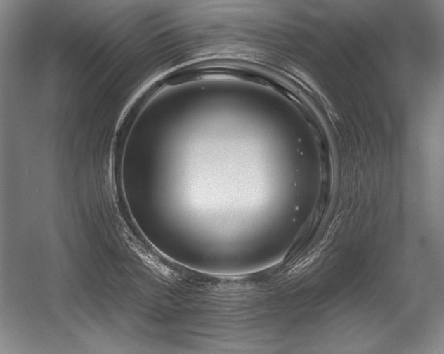 X0000056020788200508191326