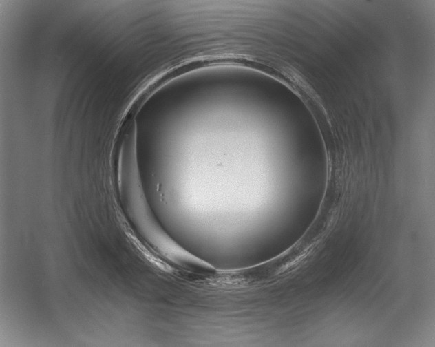 X0000056020789200508191326