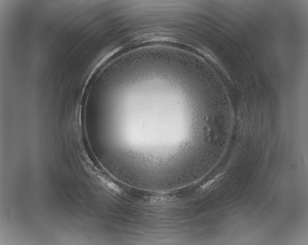 X0000056020790200508191326