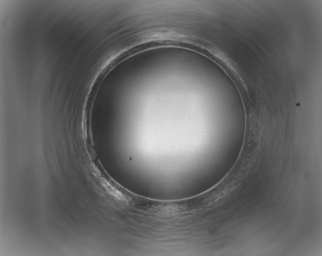 X0000056020791200508191326