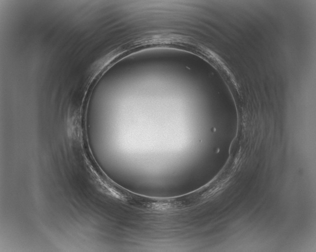 X0000056020794200508191326