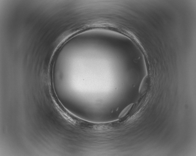 X0000056020795200508191326
