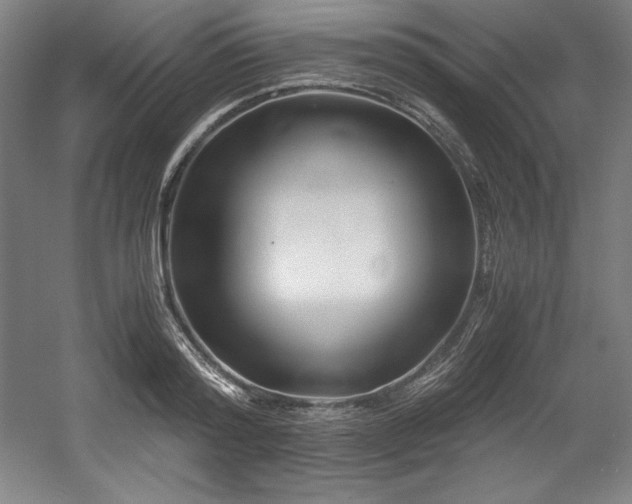 X0000056020796200508191326